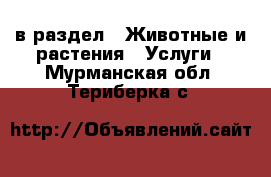  в раздел : Животные и растения » Услуги . Мурманская обл.,Териберка с.